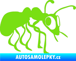 Samolepka Mravenec 001 pravá zelená kawasaki