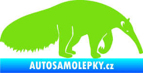 Samolepka Mravenečník 001 pravá zelená kawasaki