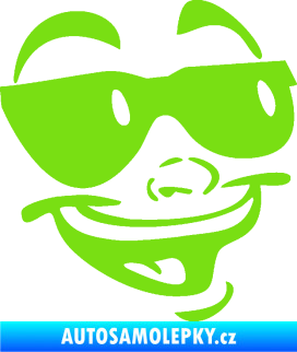 Samolepka Obličej 005 pravá veselý s brýlemi zelená kawasaki