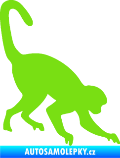 Samolepka Opice 002 pravá zelená kawasaki