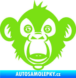 Samolepka Opice 003  hlava šimpanze zelená kawasaki