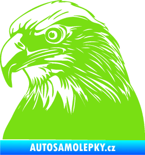 Samolepka Orel 007 levá  zelená kawasaki