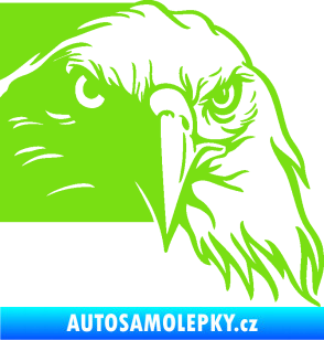 Samolepka Orel 010 pravá hlava zelená kawasaki
