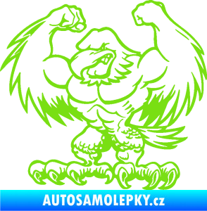 Samolepka Orel svalovec levá zelená kawasaki