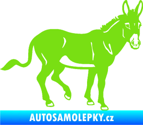 Samolepka Osel 003 pravá zelená kawasaki