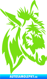 Samolepka Osel 004 pravá zelená kawasaki