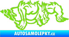 Samolepka Ostnatej pravá zelená kawasaki