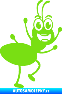 Samolepka Pan mravenec pravá zelená kawasaki