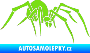 Samolepka Pavouk 002 - pravá zelená kawasaki