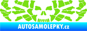 Samolepka Pavouk 017 smrťák zelená kawasaki
