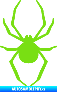 Samolepka Pavouk 021 zelená kawasaki