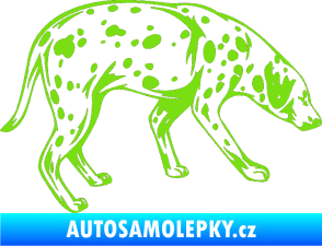Samolepka Pes 001 pravá Dalmatin zelená kawasaki