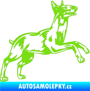 Samolepka Pes 015 pravá Bulteriér zelená kawasaki