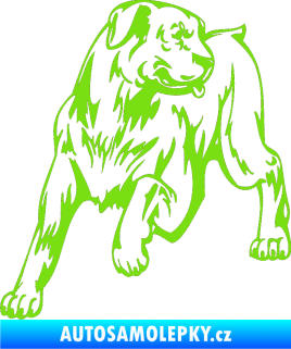 Samolepka Pes 020 levá zelená kawasaki