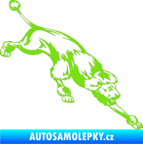 Samolepka Pes 022 pravá Pudl zelená kawasaki