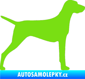 Samolepka Pes 052 pravá Ohař zelená kawasaki