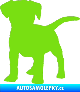 Samolepka Pes 056 levá štěně zelená kawasaki