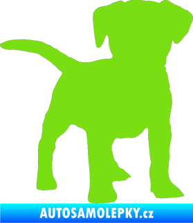 Samolepka Pes 056 pravá štěně zelená kawasaki