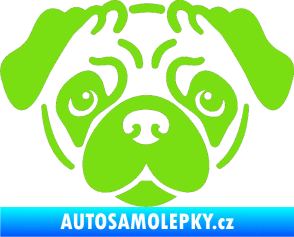 Samolepka Pes 067 Mopsík zelená kawasaki