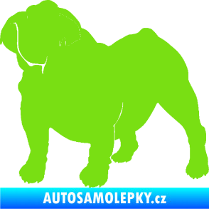 Samolepka Pes 089 levá Buldok zelená kawasaki