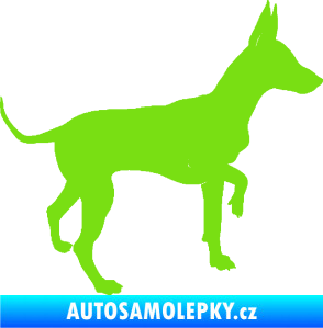 Samolepka Pes 093 pravá Pražský krysařík zelená kawasaki