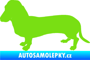Samolepka Pes 094 levá Baset zelená kawasaki