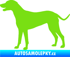 Samolepka Pes 095 levá Dalmatin zelená kawasaki