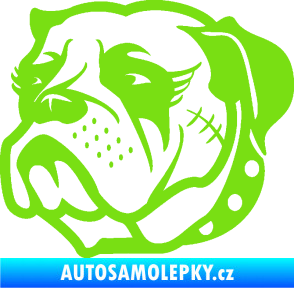 Samolepka Pes 097 levá Buldok zelená kawasaki