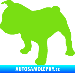 Samolepka Pes 108 levá Francouzský buldoček zelená kawasaki