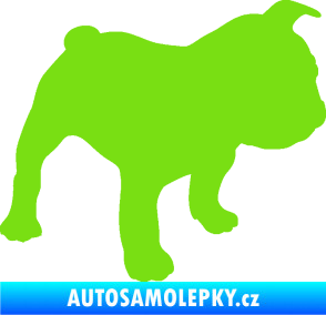 Samolepka Pes 108 pravá Francouzský buldoček zelená kawasaki