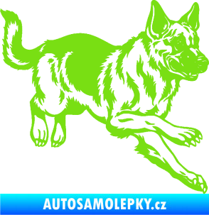 Samolepka Pes 124 pravá  německý ovčák  zelená kawasaki