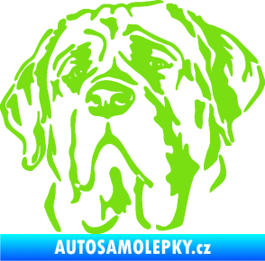 Samolepka Pes 125 levá anglický mastif zelená kawasaki