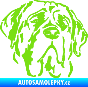 Samolepka Pes 125 pravá anglický mastif zelená kawasaki