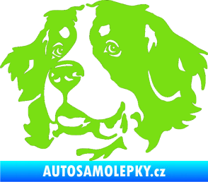 Samolepka Pes 131 levá bernský salašnický pes zelená kawasaki