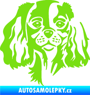 Samolepka Pes 132 levá Cavalier king Charles spaniel zelená kawasaki