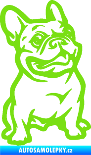 Samolepka Pes 139 pravá francouzský buldoček zelená kawasaki