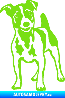 Samolepka Pes 144 levá Jack Russel terier zelená kawasaki