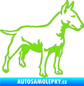 Samolepka Pes 153 pravá  Bulteriér zelená kawasaki