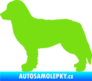Samolepka Pes 157 levá bernský salašnický zelená kawasaki