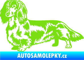 Samolepka Pes 158 levá dlouhosrstý jezevčík zelená kawasaki