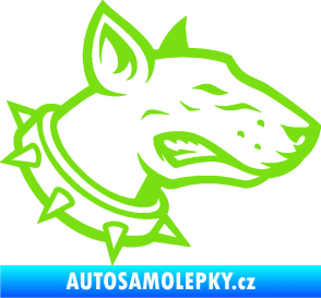 Samolepka Pes 167 pravá pitbull zelená kawasaki
