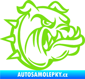 Samolepka Pes 171 pravá rozzuřený buldok zelená kawasaki