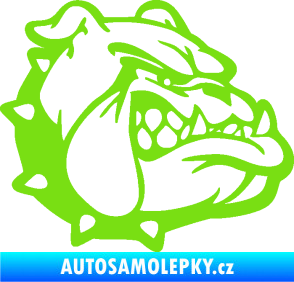 Samolepka Pes 174 pravá rozzuřený buldok zelená kawasaki