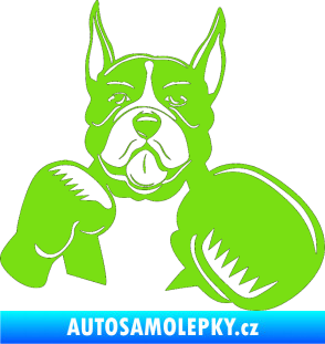Samolepka Pes 183 pravá boxer zelená kawasaki