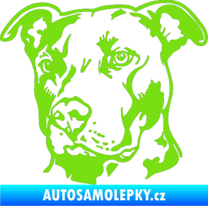 Samolepka Pes 198 pitbull levá zelená kawasaki