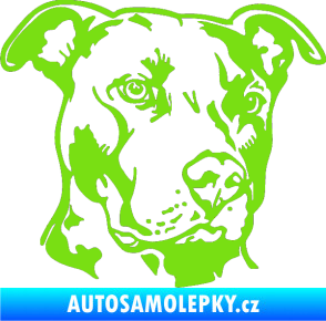 Samolepka Pes 198 pitbull pravá zelená kawasaki