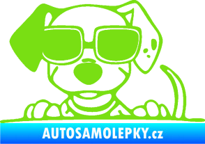 Samolepka Pes s brýlemi 101 levá v autě zelená kawasaki