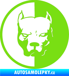 Samolepka Pitbull 001 kruh pravá zelená kawasaki