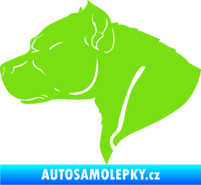 Samolepka Pitbull 004 levá zelená kawasaki