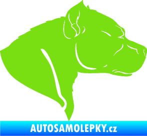 Samolepka Pitbull 004 pravá zelená kawasaki